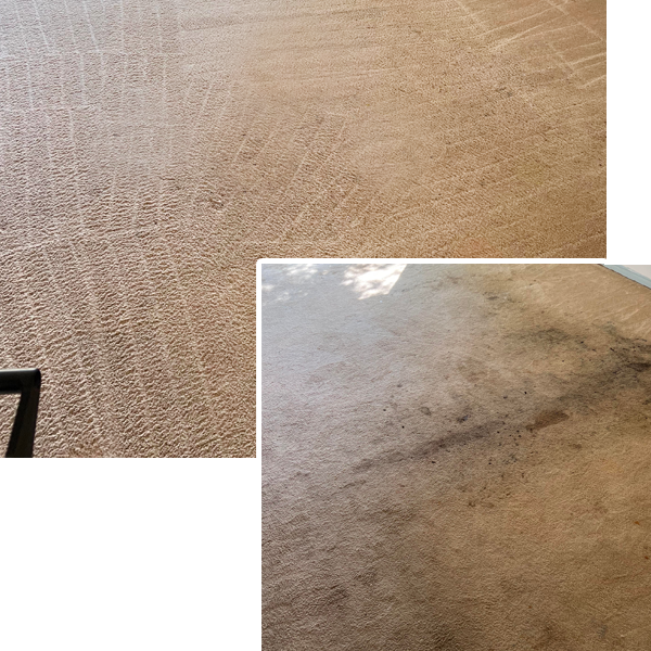 Carpet Cleaning Service in Bristol CT
