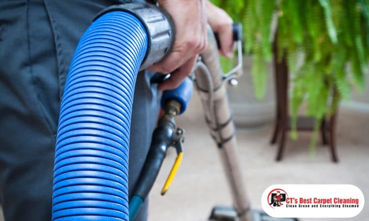 Health Benefits Of Hiring A Professional Carpet Cleaning Service