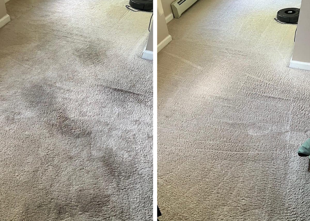 Hallway carpet before and after cleaning, side by side