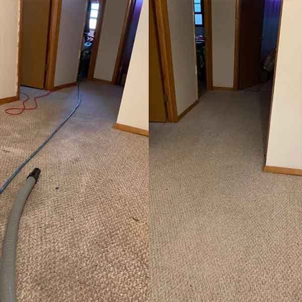 How to Get Dog Pee Smell Out of Carpet (For Good)