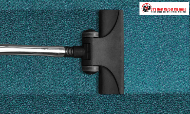 The Ultimate Guide On How To Dry Carpet Fast After Cleaning