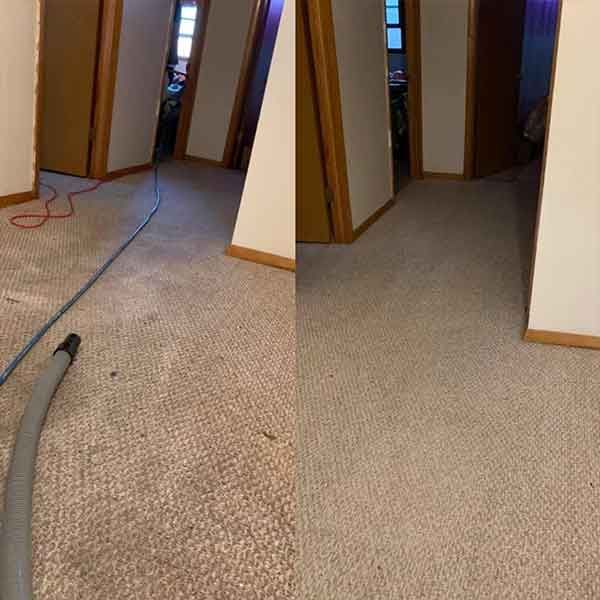 Carpet Cleaning Before and After