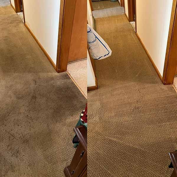 Carpet Cleaning Results