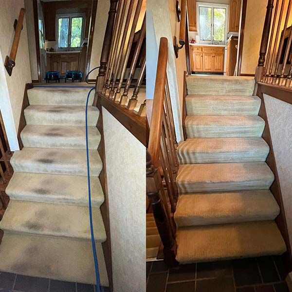 Stair Carpet Cleaning Results