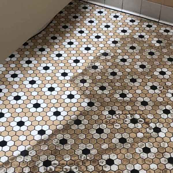 Before and After Tile and Grout Cleaning