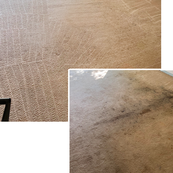 Home 2 Carpet Cleaning Service in Bristol CT